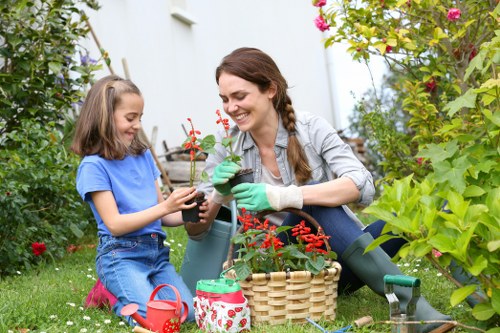 Lush green garden maintained by professional landscapers in Balham