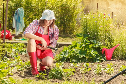 Trained gardener using hedge trimmer with protective equipment