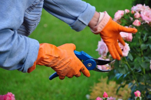 Essential garden tools for maintenance