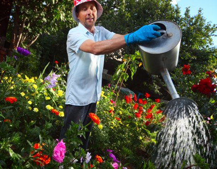 Healthy, well-maintained trees enhancing Balham's landscape