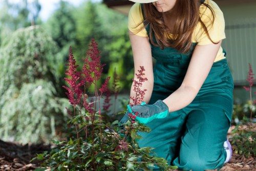 Professional landscaper designing a garden layout in Balham